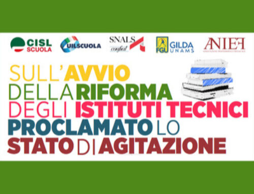 Proclamato lo stato di agitazione sull’avvio della riforma dei tecnici. Richieste precise su obiettivi concretamente perseguibili